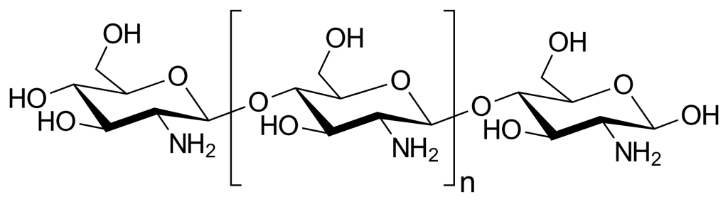 Formule chimique du Chitosan