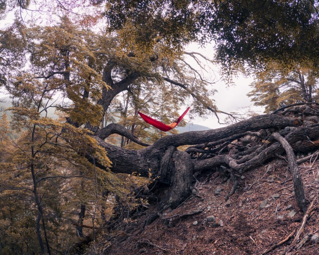 homme allongé dans un hamac pour se relaxer au milieu de la forêt en automne