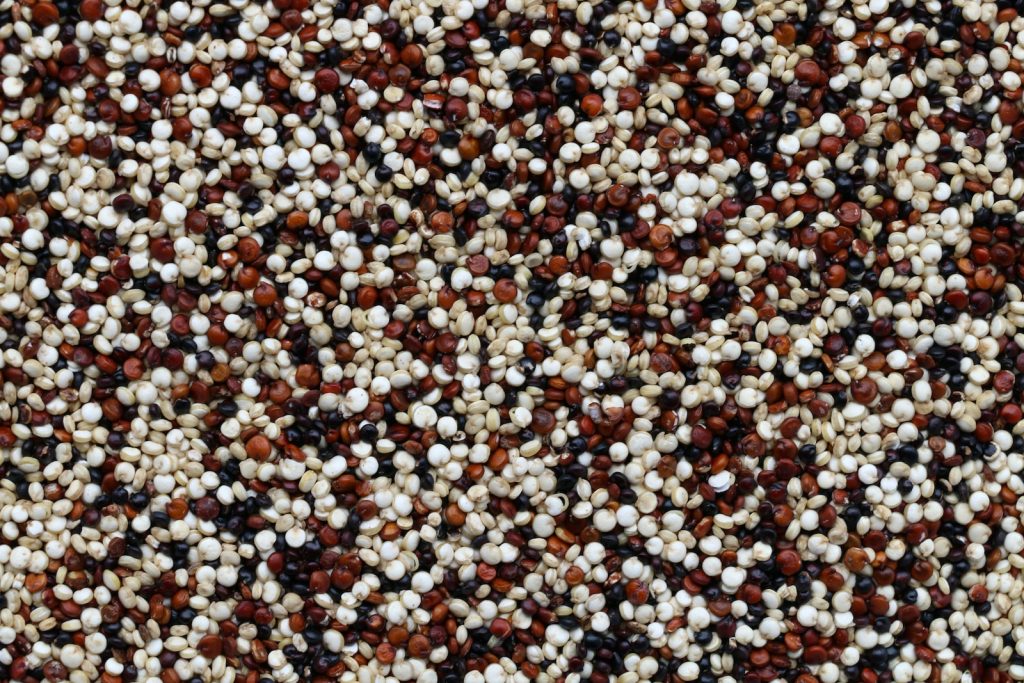 Grains de quinoa